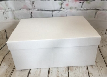 Cake Box - 51 x 46 x 15cm
